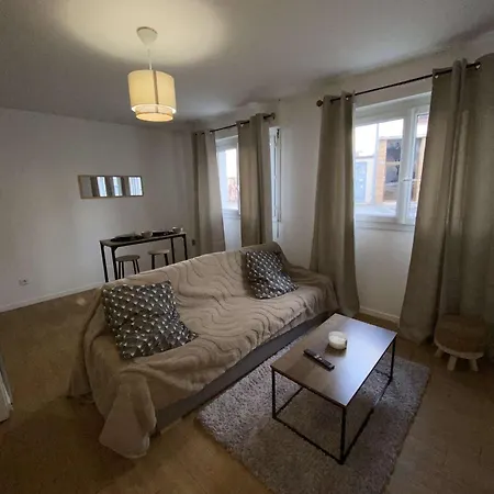 Grand Cosy Et Bien Equipe Apartment
